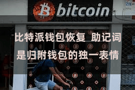 比特派钱包恢复  助记词是归附钱包的独一表情