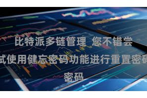 比特派多链管理  您不错尝试使用健忘密码功能进行重置密码